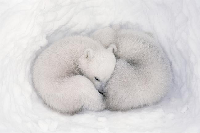 AWWWWWWWWWWWWWWW!